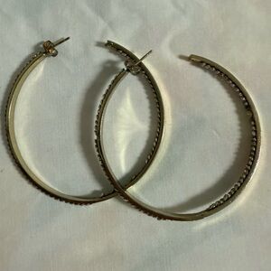 Elegant Gold Hoop Earrings